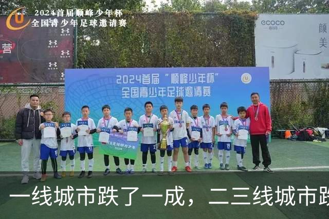 一线城市跌了一成，二三线城市跌了四成，再跌下去谁最害怕？